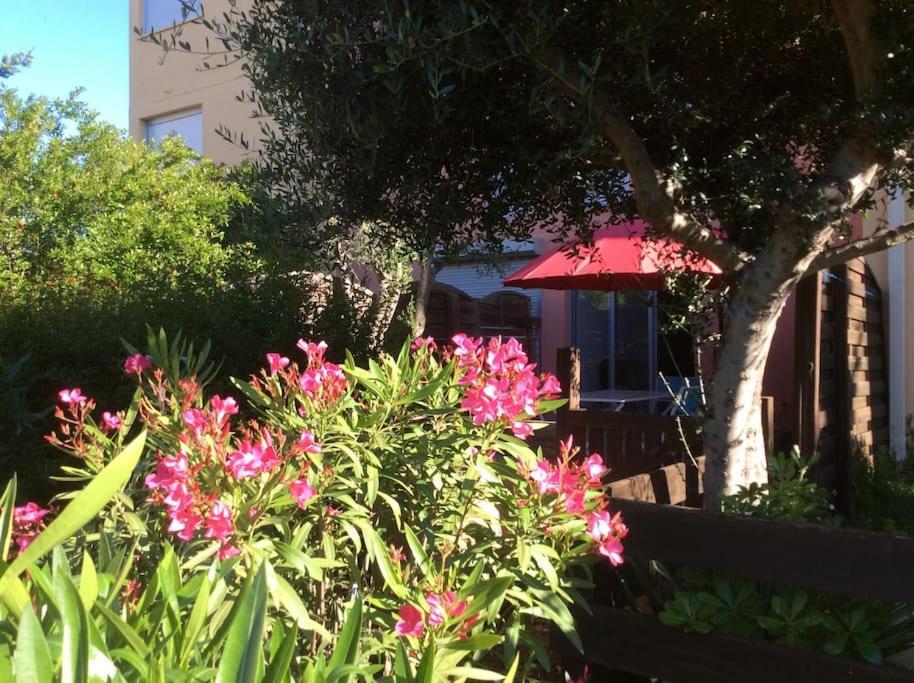 Cap Agde Studio-Cabine Jardin Clos, Port Et Plage ภายนอก รูปภาพ